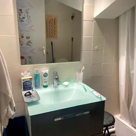 Daire Cosy Sous Les Toits En Plein Centre-ville Clermont-Ferrand