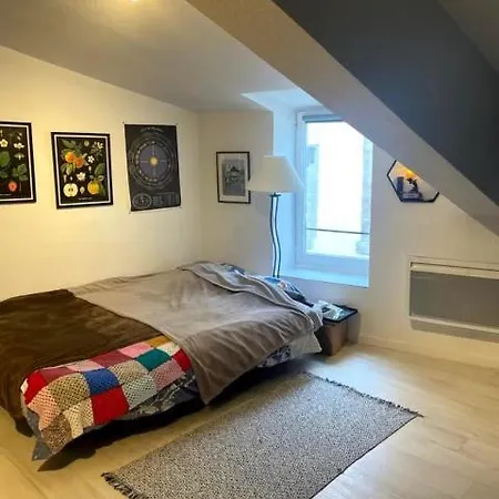 Daire Cosy Sous Les Toits En Plein Centre-ville
