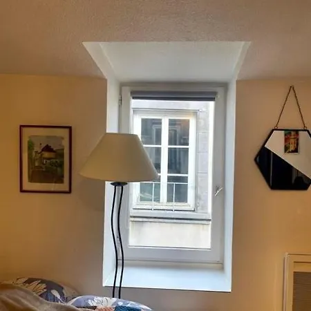 Daire Cosy Sous Les Toits En Plein Centre-ville
