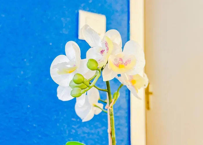 Апартаменты Cosy Sous Les Toits En Plein Centre-ville